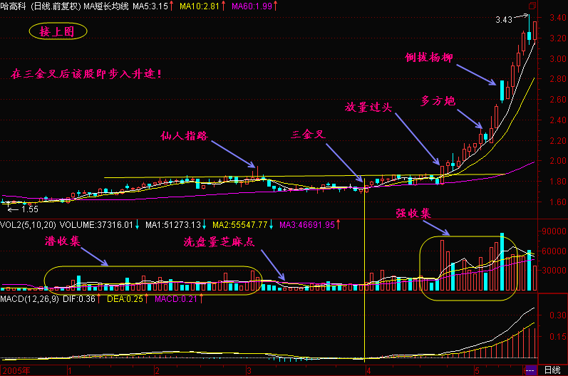 一位成功老股民的独白:股票什么时候买卖?只需看一眼MACD就够了