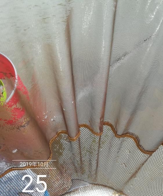 「荒期」掌握这14个钓鱼技巧,鱼荒期都能钓到手软!新手每天都要读一遍