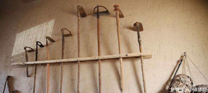 农村俗语 “吃自得, 穿二八, 赌一半, 嫖白瞎”啥意思, 有道理吗