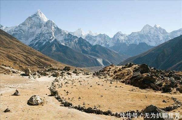 首次发现亚洲胡狼，喜马拉雅山脉可能存在更多未知生物