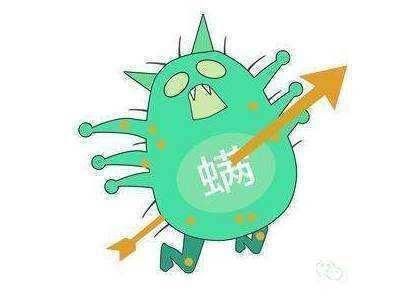 200万的螨虫夜晚在你脸上“蹦迪”,两个方法轻松对付!