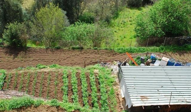 4个农村致富小项目，别看不起眼，有人已经赚了“一桶金”