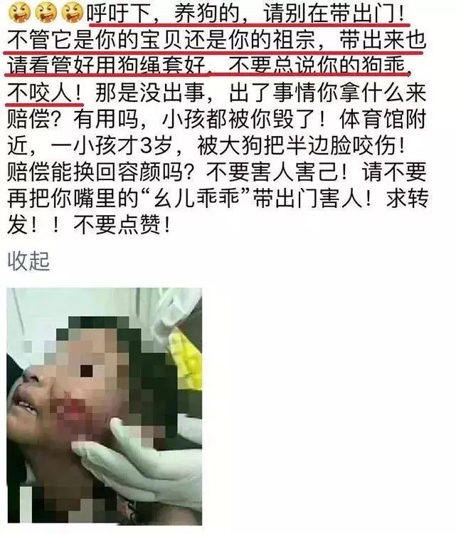 有组织造谣狗咬伤小孩儿,这个锅决不能背!