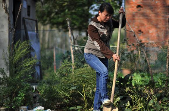 40岁农妇网上冒充美女，竟然骗网友回家干农活，报警后被拘留！