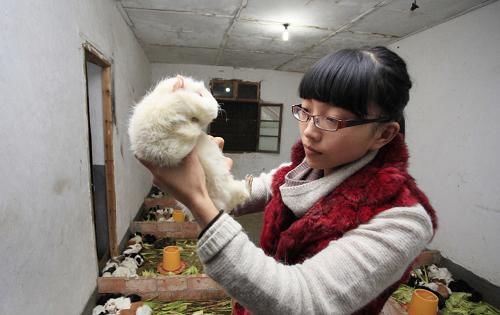 农民小夫妻放弃打工回乡养殖创业，年入20万以上！