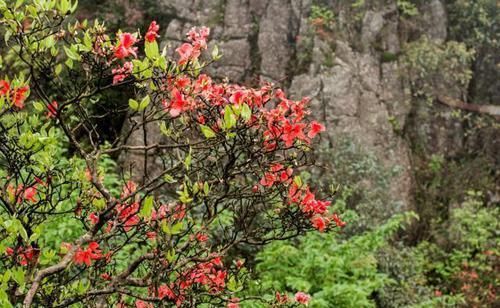 广东有个冷门景区，云雾迷蒙似仙境，很多人不知道