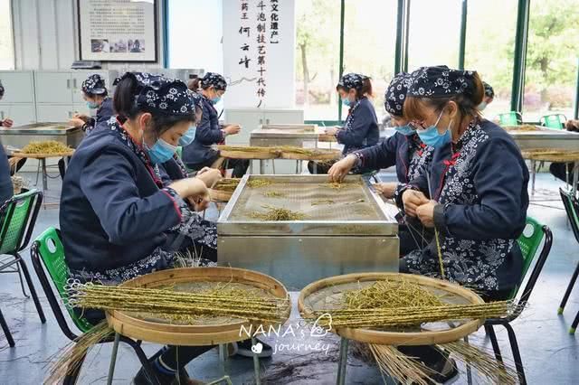  「仙草」“九大仙草”之首的霍斛，不仅健体，还拥有非物质文化遗产技艺