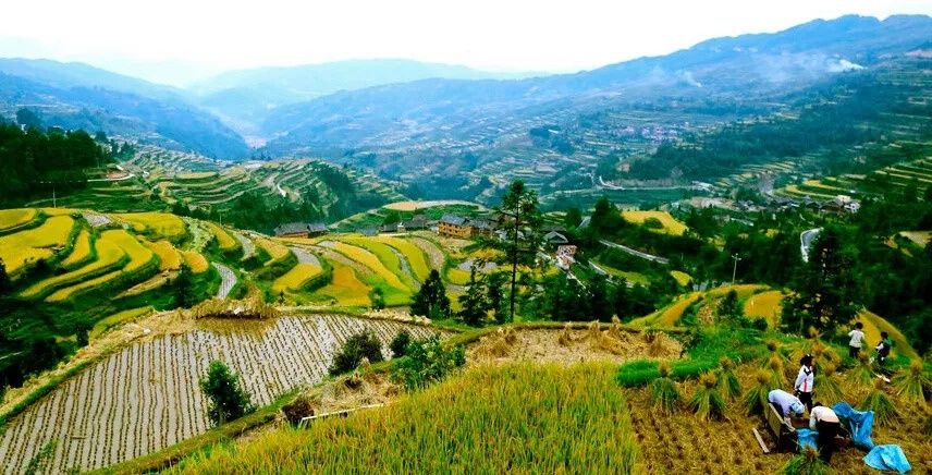 9月，贵州最美的风景竟然在这里，一生要去看一次~