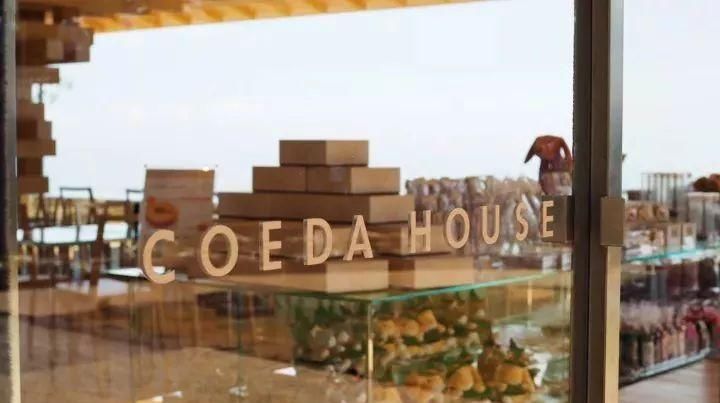 去了伊豆，才知道日本的美可以这样沁人心脾