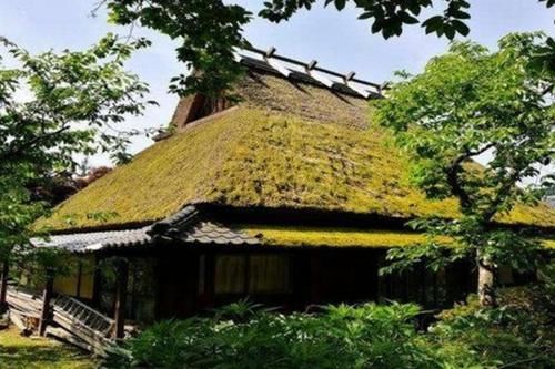 日本全是茅草屋的村子，吸引了大量游客前去，有何出众之处？