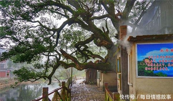 江西不止有婺源、三清山，还有这2处鲜为人知的小众景点