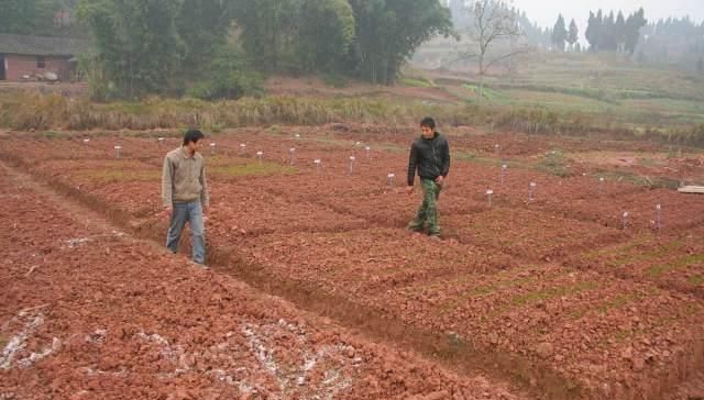  #农村自建房#农村自建房时拆旧房子的老砖怎么办？不可以乱用！