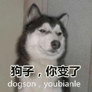  『快来』一生必须穿一次旗袍！10条超美的改良旗袍快来pick~