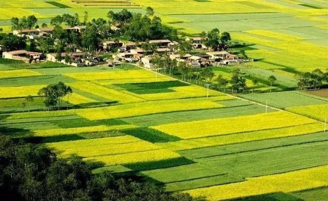 『青海』青海39个之最,不但在全国出名了,还有这么多世界级....