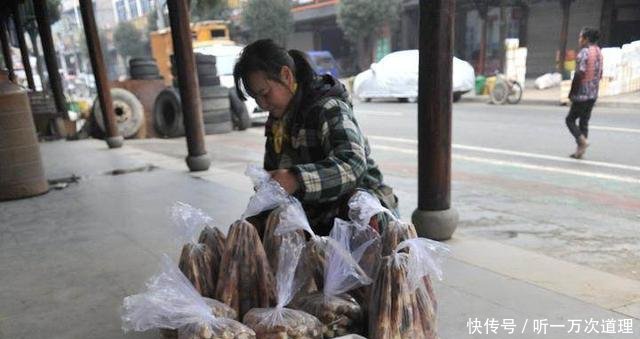 农民种竹子却不卖竹子，照样年赚50万，真是懒人也能赚大钱