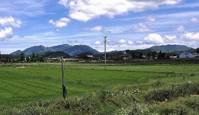  [几十年]1980年从香港到深圳 那真的是两个世界 反差好大