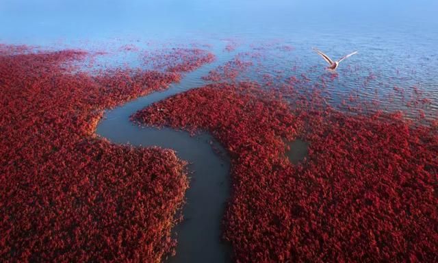 又一个红叶王国！国内这处秘境，有比肩枫叶之国加拿大的醉美秋色