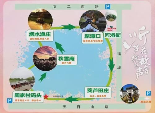 西溪湿地：“赏芦专线”开通啦；时间：11月2日-2020年1月1日