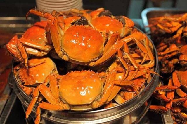 『 食物』可为何有些食物同吃，确实会不舒服？，都说“食物相克”是骗人的