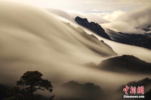 雨后黄山现罕见“瀑布流云” 宛如水墨画卷