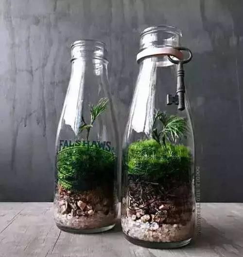  #花房#没有阳台又怎样，房间处处都能变花房