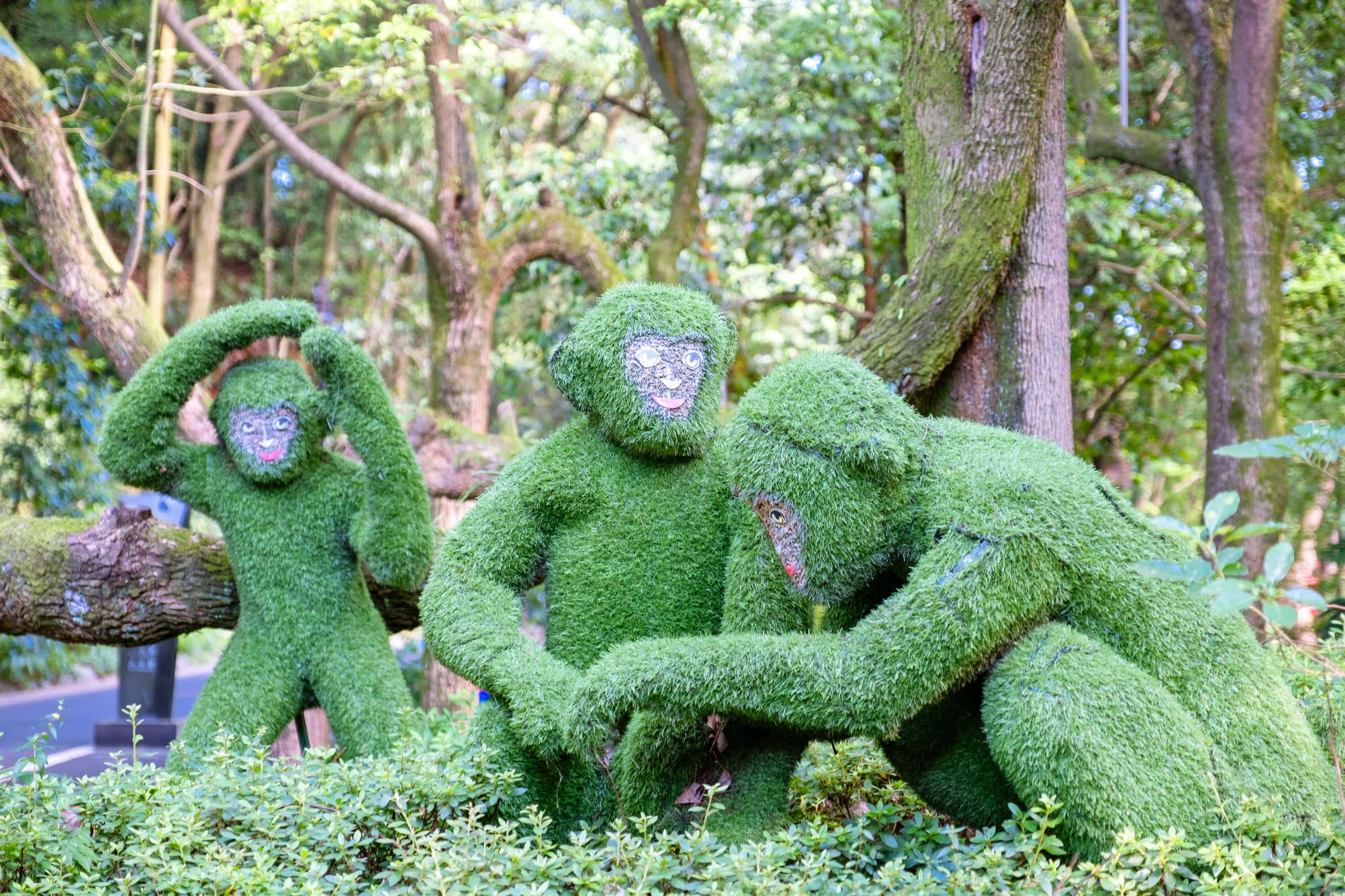 成都出发，周末打卡峨眉山温泉。