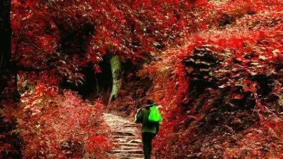 浙江不只有江南烟雨,这10个地方藏着浙江的绝美秋景