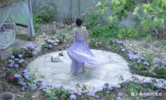 李子柒讲好中国故事