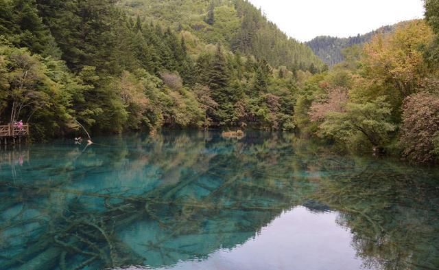  [旅行]九寨回归不要看水