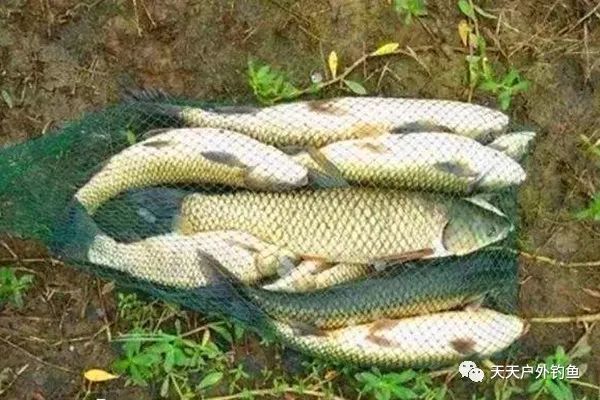  『关系』钓不到大鱼？跟调漂有极大关系，钓不同的鱼，要用不同的调漂方法