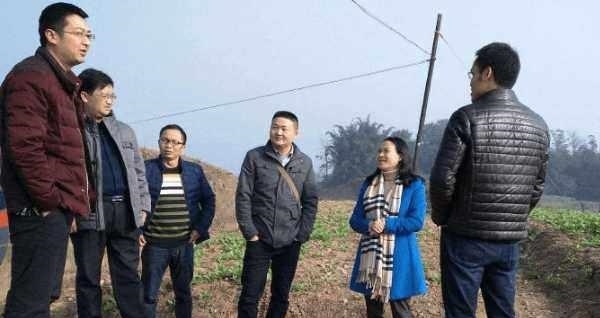 农村怪象，20多岁却一直没地种，去世20年还有地！专家：很合理！