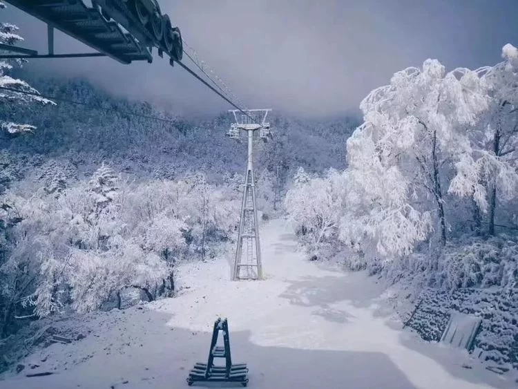 不输九寨的四季皆景,川藏线茶马古道的起点!【在线观看】