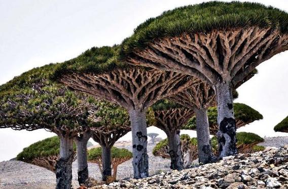 地球上鲜为人知的“外星世界”，远离大陆，独立存在18万个世纪