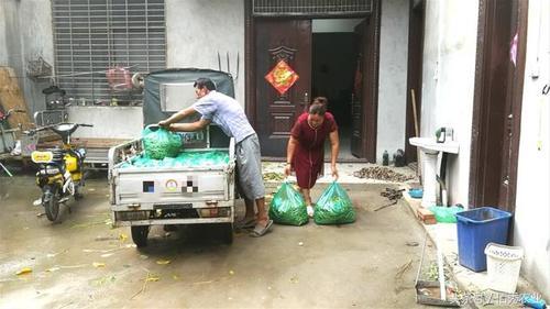 农村大姐种植一种赚钱的作物,鲜品卖2元一斤,