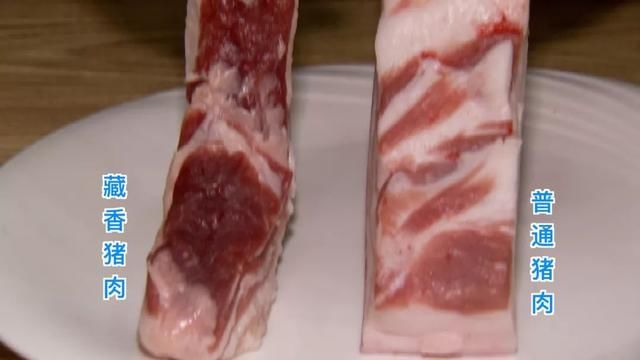 贷款500万，2年后，他在这片荒山上一年卖出1000万销售额