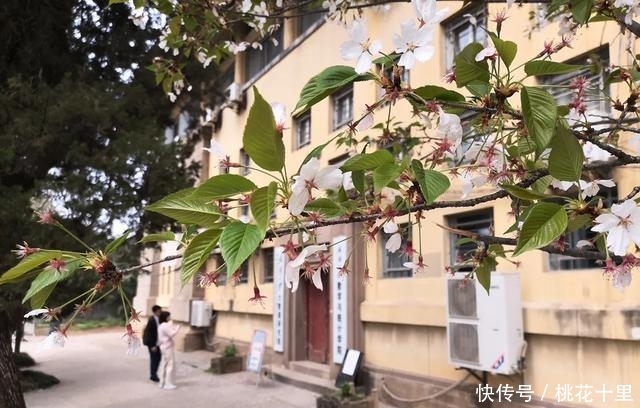 湖北武汉何止只是武汉大学的樱花，这五个地方也是必去的