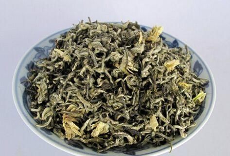  『枝干』掌握这3种方法，茉莉花扦插出好几盆，年年开花满屋飘香！