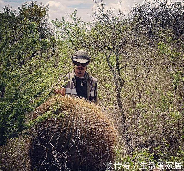 养花:养花怡情,养肉修身,多肉植物种植日记