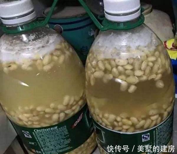  【养花】养花少不了氮磷钾，自制3种花肥，省了肥料钱肥力足
