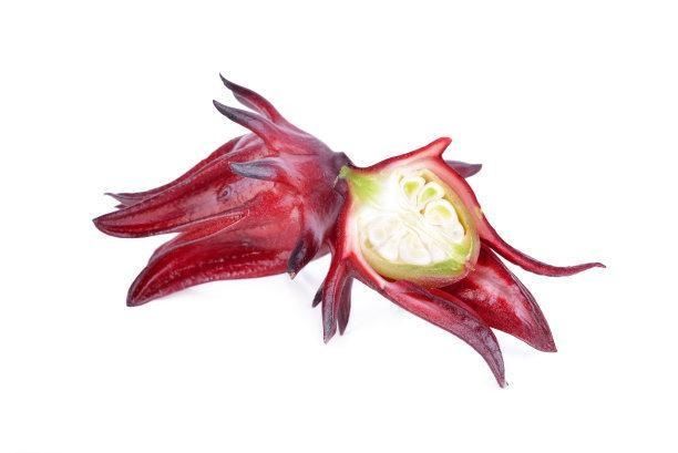  玫瑰：玫瑰茄，又名洛神花，花十分美丽，有“植物红宝石”的美誉