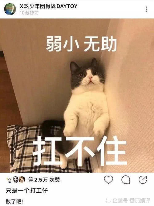  也就是说■肖战真是打工仔？一年代言自己只能拿十几万，解约费遥遥无期？