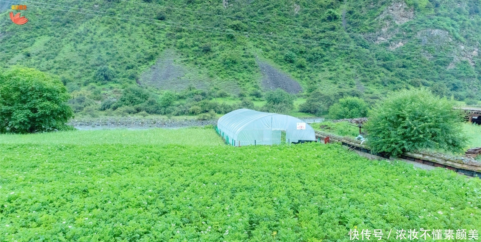 成都亚丁十日行之夜宿香格里拉民宿,藏式风格还便宜,值得一试