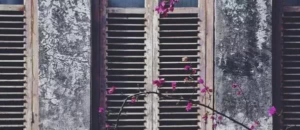 有一种旅行,叫去老街走一走