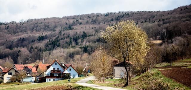 『究竟』超一半人口居住在农村,德国农村究竟有什么吸引力今天总算懂了