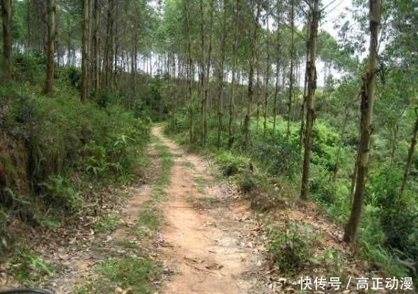  【生活费】鱼跑了, 杆也断了, 钓鱼人半个月的生活费没了