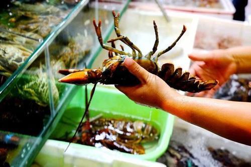 在三亚的碧海蓝天上我要飞得更高，看得更远