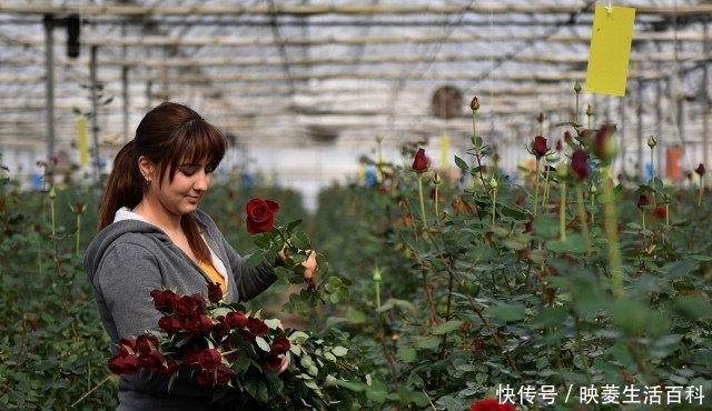  解决|为何农村有那么多光棍？农村结婚难该如何解决？听听网友怎