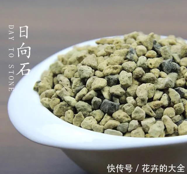  【多肉的时】多肉“铺面”的那些事儿
