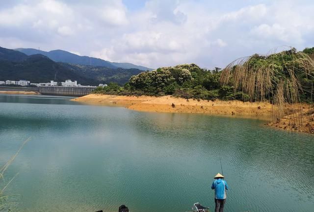  [鱼儿]夏天钓湾渔获多，并非所有湾都出鱼，几种常见湾子详解