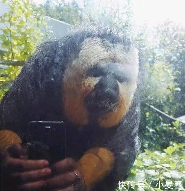 六张错觉照片，百分之99的人都看错了，你是否是那百分之一？